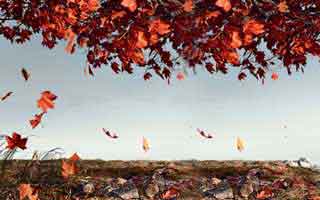 91爆料相关的91视频看着没动静，结果最耐人寻味的都在后面