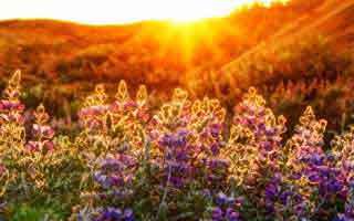 91爆料相关的91视频看着没动静，结果最耐人寻味的都在后面