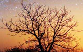 91大事件每日大赛里的91爆料猛料：真正扎眼的地方现在才露出来